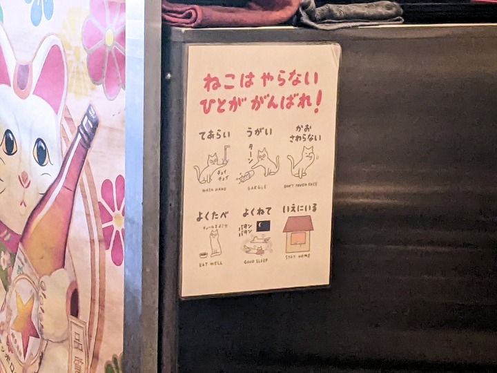 07yamaneko025820544