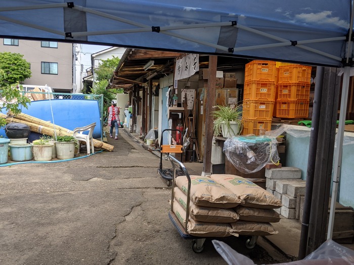 08kojiya045658827