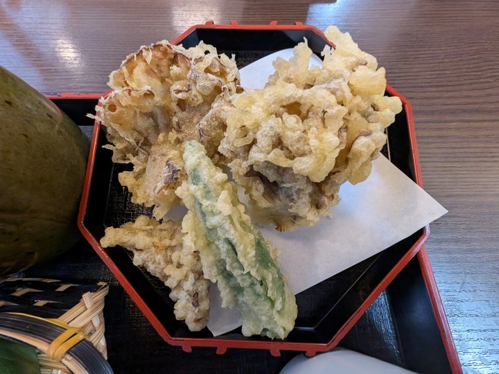 17mizusawatei035132591