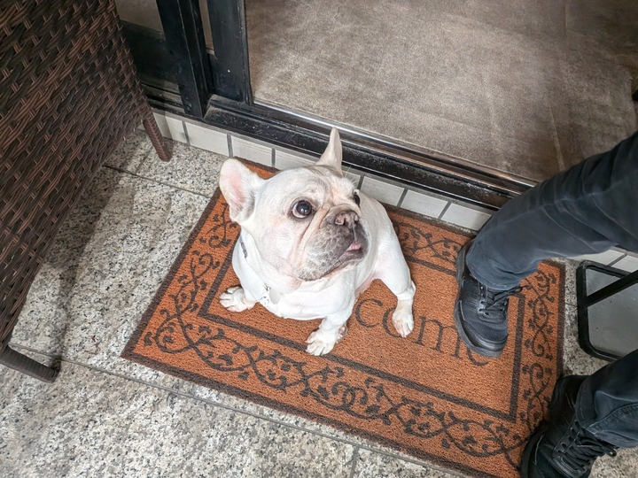 06unchat050301196