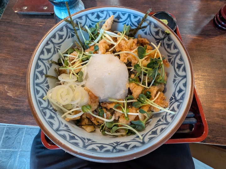 60nagaokaya041742616