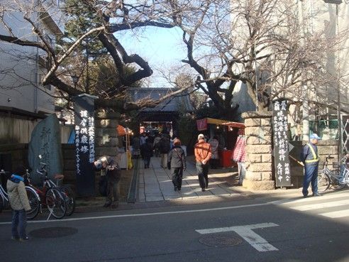新井薬師梅照院-門