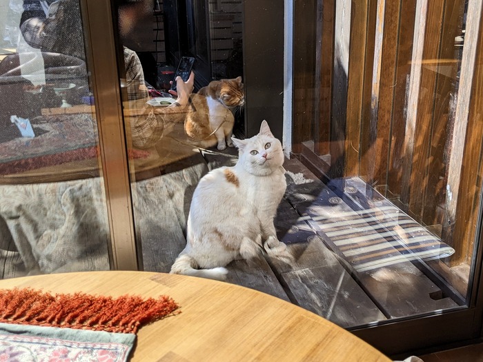 05shinocafe044211478
