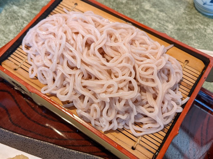 13nagaokaya040135534