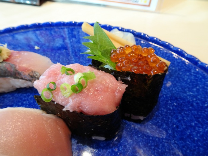 10sushitu05254