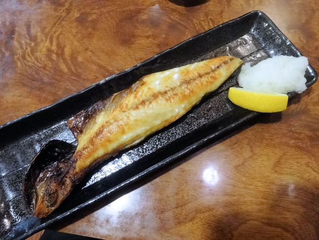 09sakame05093