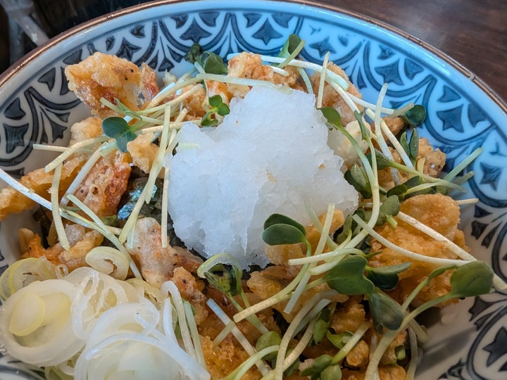 13nagaokaya041619371