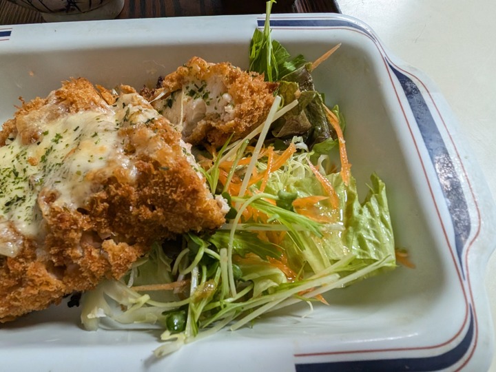 13tabuchi042809098