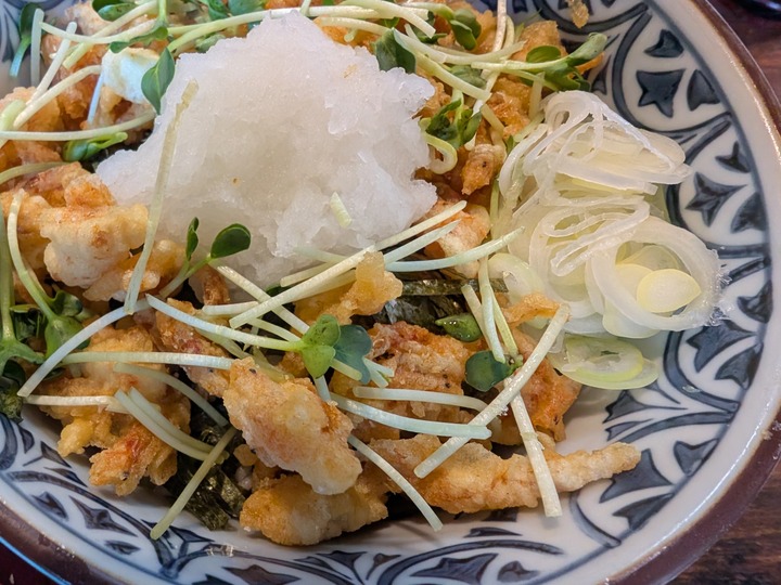 14nagaokaya041625814
