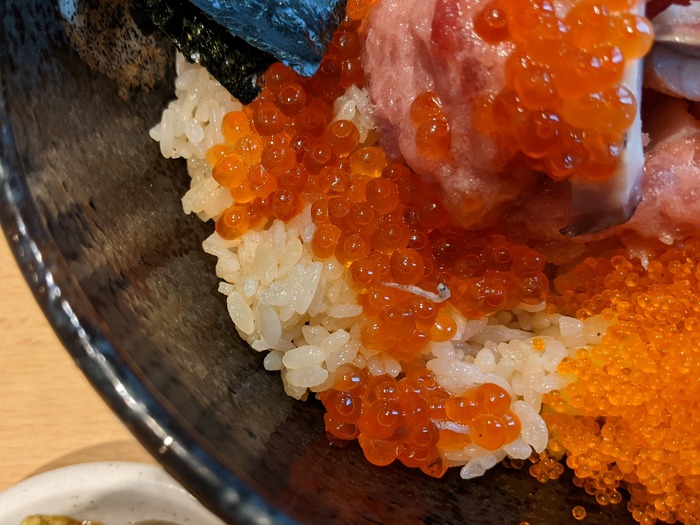 61tajima043118741