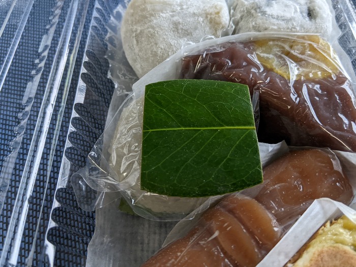 62gionman014119675