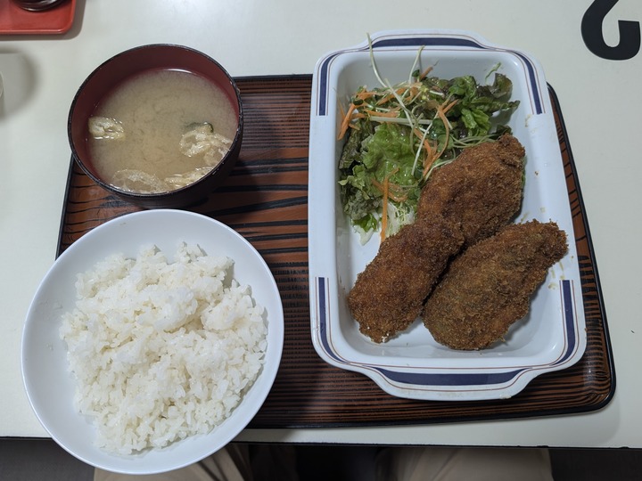 09tabuchi042539109
