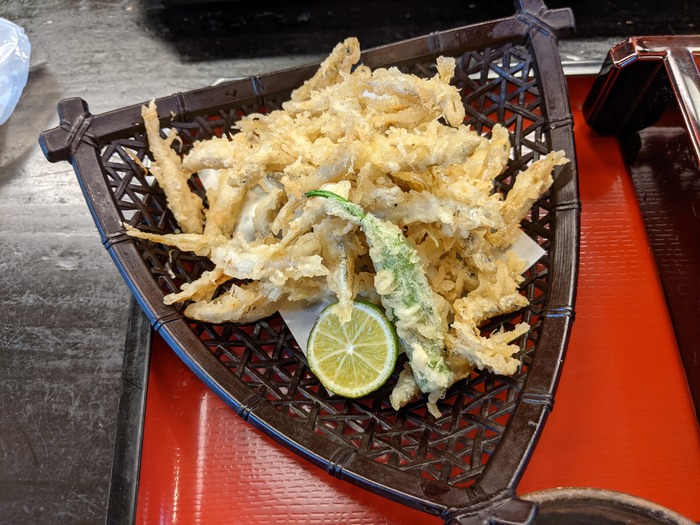 57ohira041707853