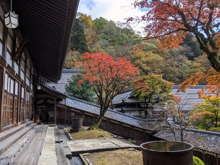 81sanraku022412399