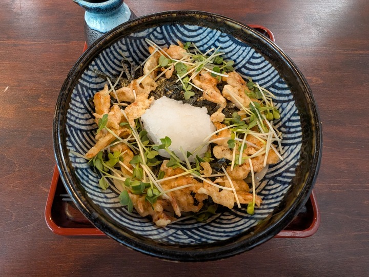 63nagaokaya041643887