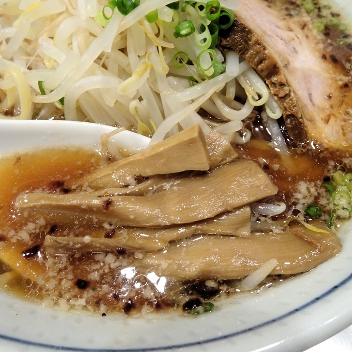 62hanabiya02850