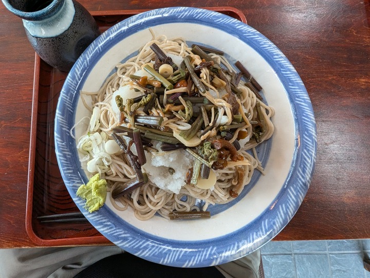 60nagaokaya043036342