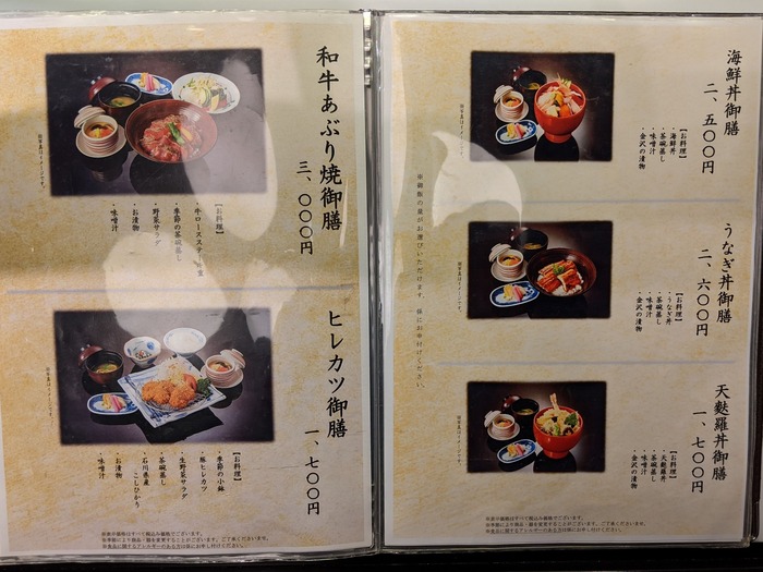 11kagaya031703863