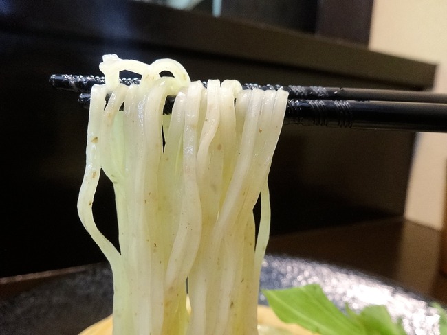 54sugi03952