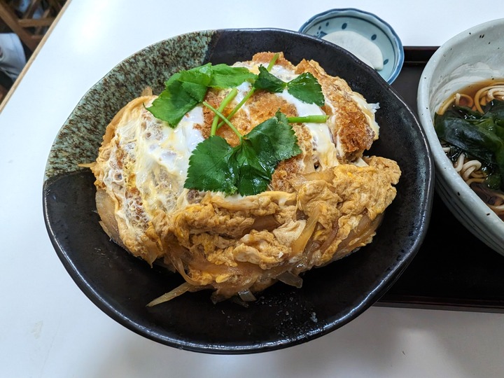 11tatsunami042737905