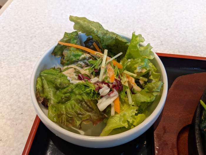 60fukujyu035321372