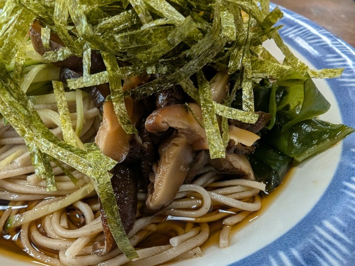 14nagaokaya041705632