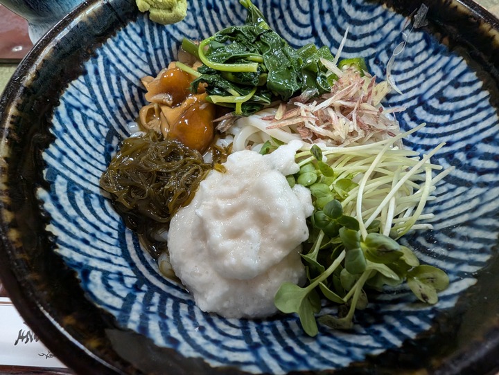 15nagaokaya043246403