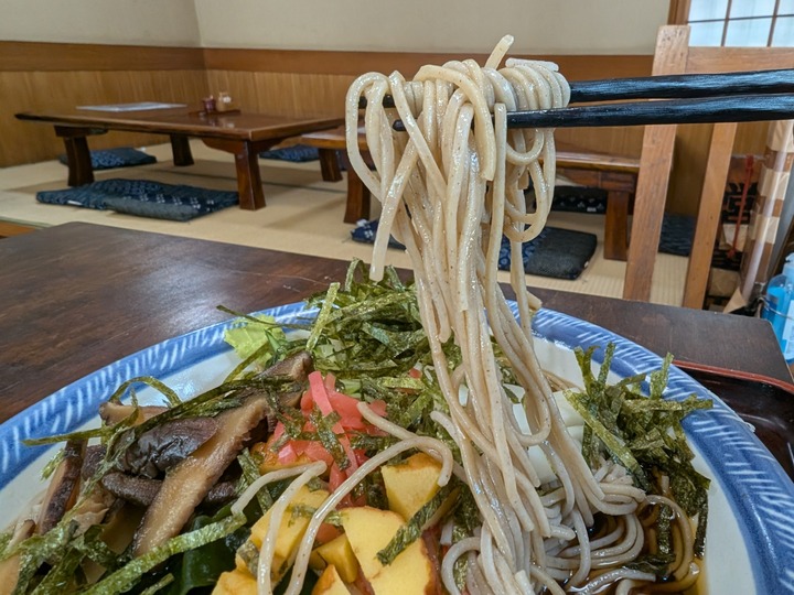 11nagaokaya041833992