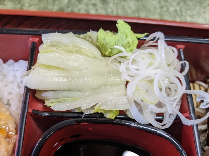 11nagaokaya043128403