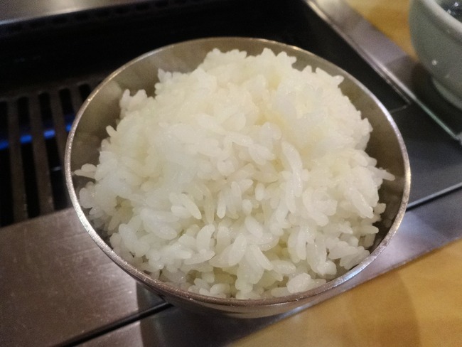 11toraji04629
