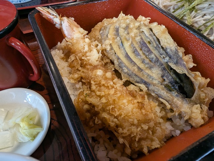 61nagaokaya042810796