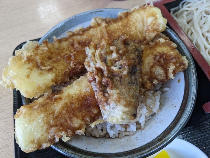11asahiya042300481