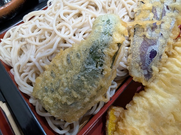 63tatsumian042145694