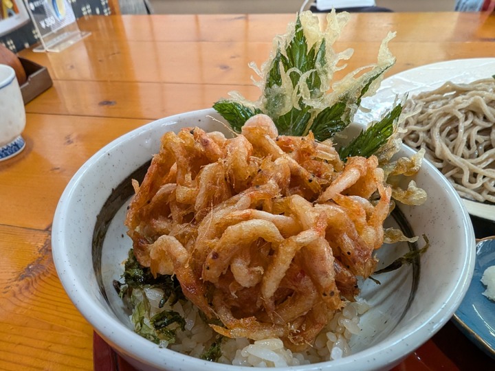 13ashitaba035130266