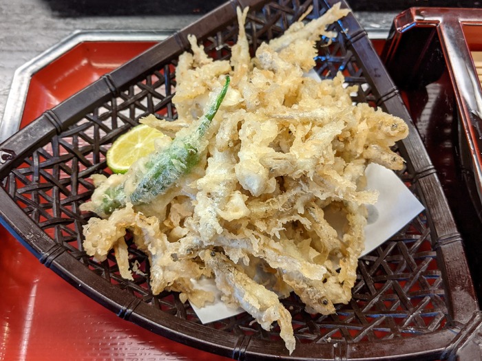 58ohira041610260