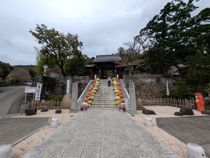12syuzenji024347764