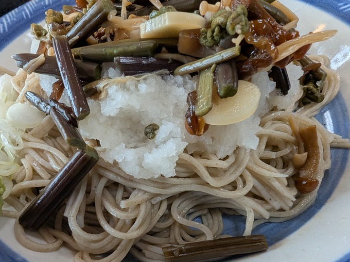 63nagaokaya043059095