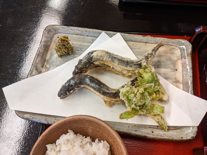 62ohira043856784