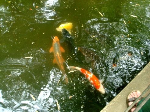 実篤公園@仙川