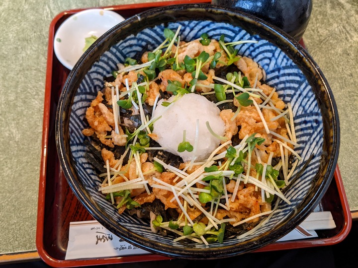 09nagaokaya040808321