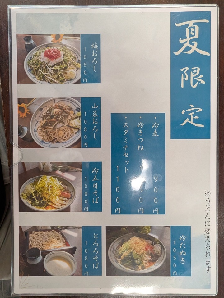 66nagaoakaya041249216