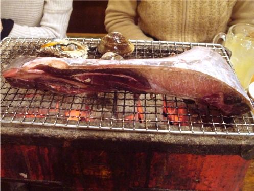 鮪のカマ焼き-中野ウロコ本店