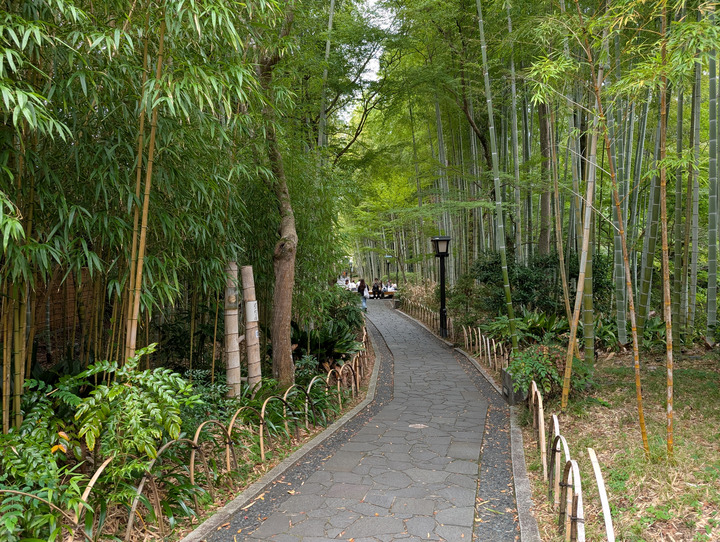 62chikurin043653170