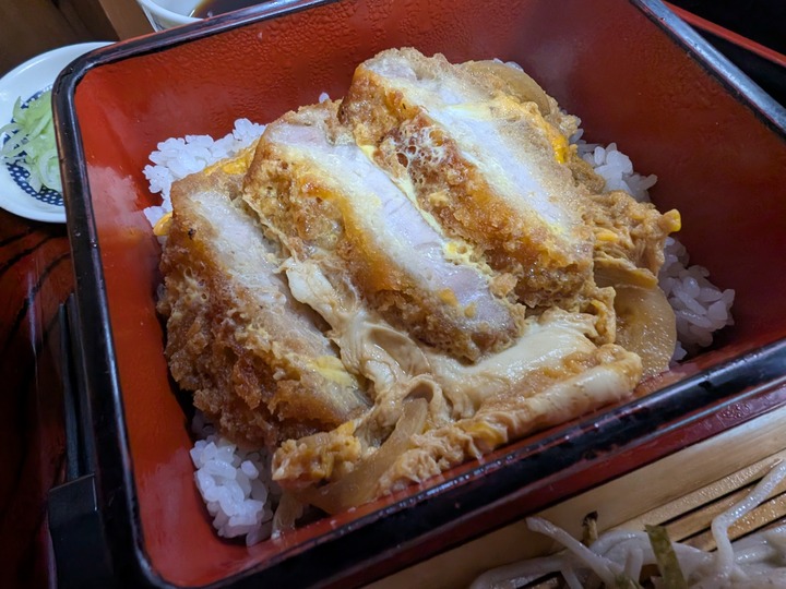 60nagaokaya044154191