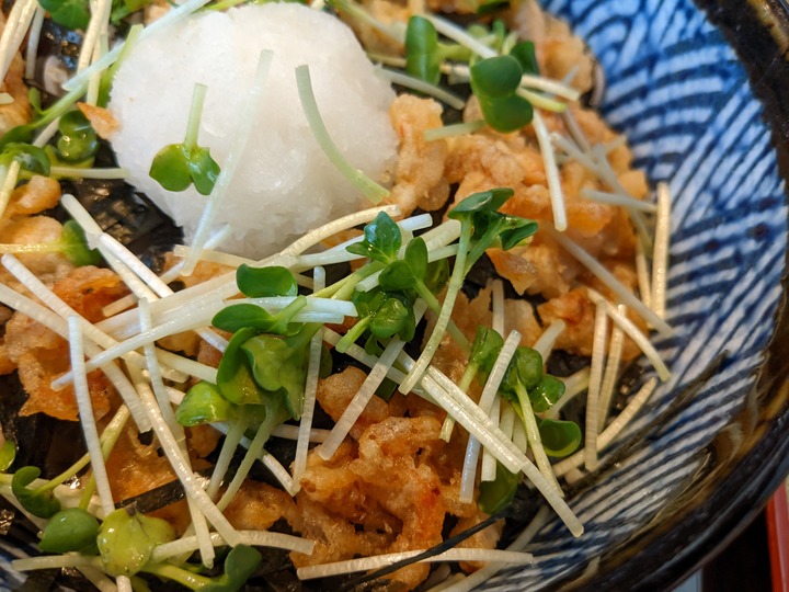 13nagaokaya040819169