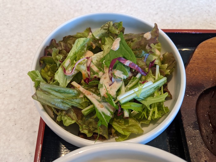 08fukujyu045033269