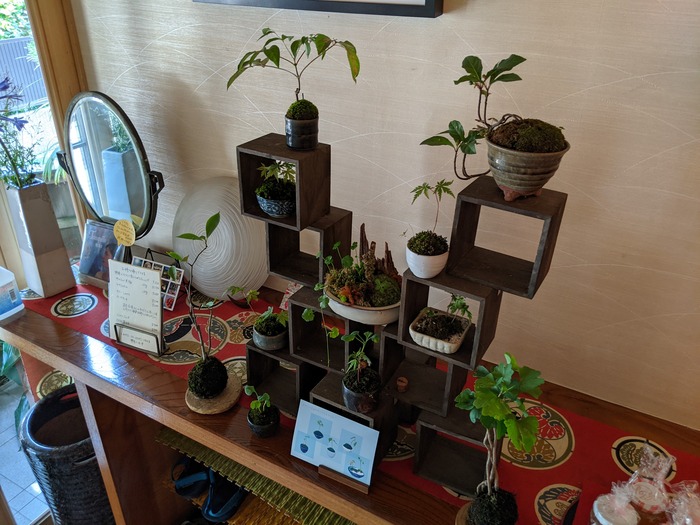 02shinocafe035758621