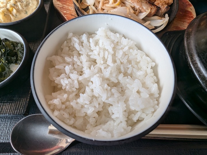 10gogi043732323