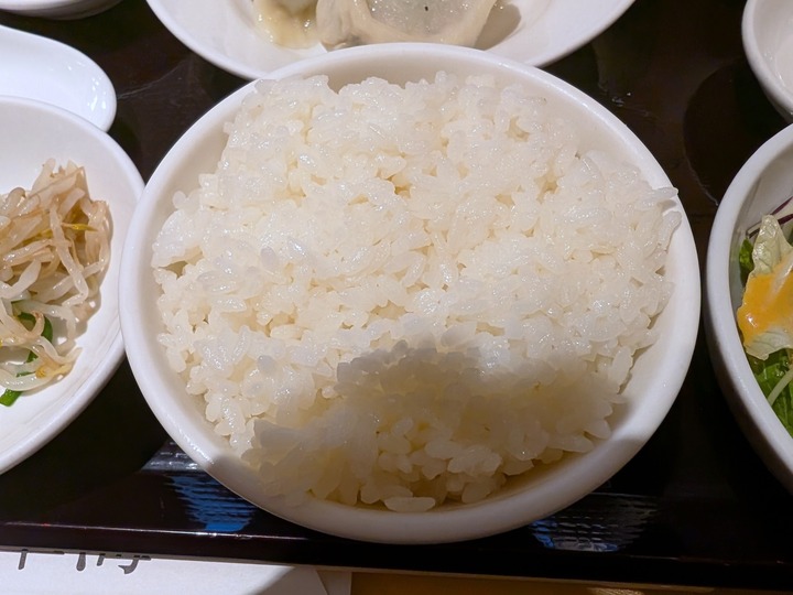 09suikai043109521