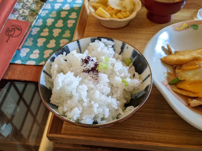 09shinocafe045304680